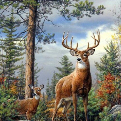 page Two Deers - Cross Stitch Pattern PDF