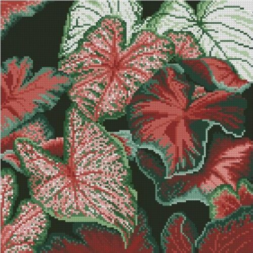 (TF)d10 Caladiums - Cross Stitch Pattern PDF