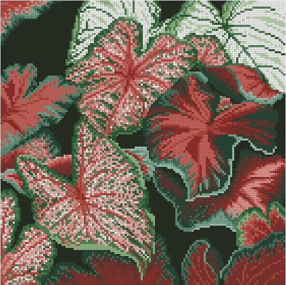(TF)d10 Caladiums - Cross Stitch Pattern PDF